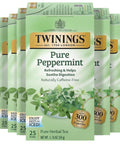 Twinings Lemon & Ginger, Caffeine-Free Herbal Tea Bags, 100 CT Box (1 Pack) | Spicy & Tangy, Ginger, Lemon Peel, Lemongrass, Blackberry Leaves, Soothe Digestion, 100 Foil Lined Individually Wrapped Bags