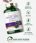Carlyle Grape Seed Extract 24000 mg Equivalent 240 Capsules | Maximum Strength Standardized Extract | Non-GMO Gluten