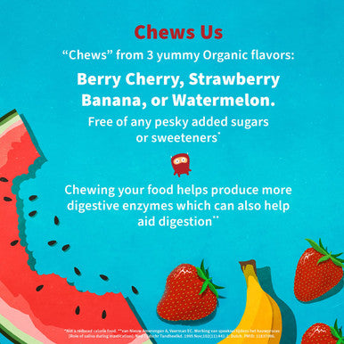 Garden of Life Dr. Formulated Probiotics Organic Kids+ Plus Vitamin C & D - Watermelon - 5 Billion Cfu Gluten Dairy & Soy Free Immune & Digestive Health Supplement No Added Sugar - 30 Chewables