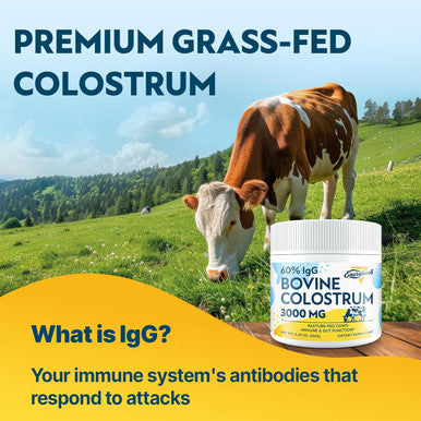 Energievoll Bovine Colostrum Supplement Powder - 60% IgG 3000 mg for Gut Hair Growth Beauty and Immune Easy to Mix Unflavored (50 Servings)