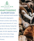 Holistic Bin Organic Mushroom Blend Powder 19 Wild Harvested Varieties (Lion's Mane, Reishi, Enoki, Mesima, Turkey Tail, Cordyceps, & More) | Adaptogenic Mushrooms Supplement