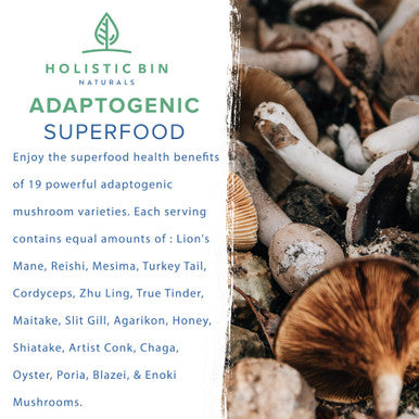 Holistic Bin Organic Mushroom Blend Powder 19 Wild Harvested Varieties (Lion's Mane, Reishi, Enoki, Mesima, Turkey Tail, Cordyceps, & More) | Adaptogenic Mushrooms Supplement