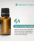 Nature's Fusions Tangerine, 100% Pure and Essential Oils, Undiluted, Therapeutic Grade for Aromatherapy and Topical Use, .5 Fl Oz (Pack of 1) (15 mL)