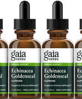 Gaia Herbs Echinacea Goldenseal Supreme 1-Ounce Bottle (Pack of 6)