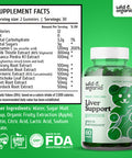Wild & Organic Liver Support Gummies - Liver Cleanse Detox & Repair Supplement w/ Milk Thistle, Chicory, Artichoke, Turmeric. Burdock & Dandelion Root Extract - Immune System Support Gummy - 60 Chews