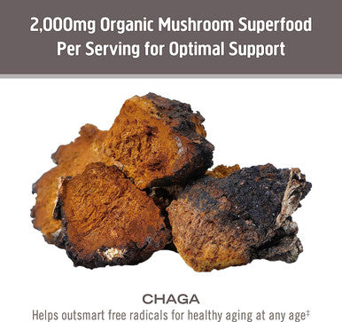 Om Chaga Mushroom 667mg 75 Caps 75 Fl Oz