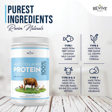 Multi Collagen Protein Powder - 5 Types of Food Sourced Collagen Peptides - Hydrolysed Grass Fed Bovine, Wild Caught Marine & Chicken, 8 Ounce