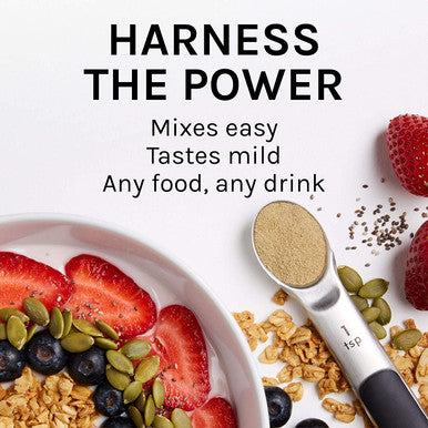 Host Defense MycoBotanicals Brain Energy Powder