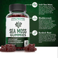 Irish Sea Moss Gummies - 3000Mg - Formulated W/ Irish Sea Moss, Bladderwrack & Burdock Root, Contain Essential Vitamin & Mineral - Antioxidant-Rich Superfood Supplement, 60 Sea Moss Gummies For Adults