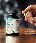 Gut Health Supplement Digestive Enzymes Prebiotic Probiotics for Digestive Health Bloating Relief for Women and Men Leaky Gut Repair Gut Assist Cleanse by Snap Supplements 60 Capsules