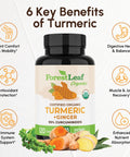 Forestleaf Turmeric Supplement Extra Strength 2265Mg - Turmeric Curcumin Supplement W/Bioperine Black Pepper - Tumeric And Ginger Supplements 95 Curcuminoids Supports Immune & Joint Health 120 Caps