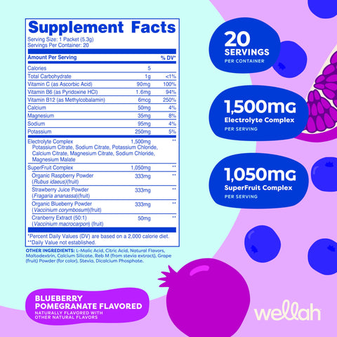 Wellah Splish Splash Hydration (Blueberry Pomegranate) 20 Stick Packs - Electrolyte Drink Mix With Superfruit Complex