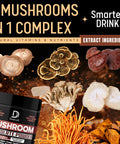 Dedicad Mushroom Chocolate Powder - Mushroom Hot Chocolate With Lion'S Mane, Reishi, Chaga, & More - Support For Immune System
