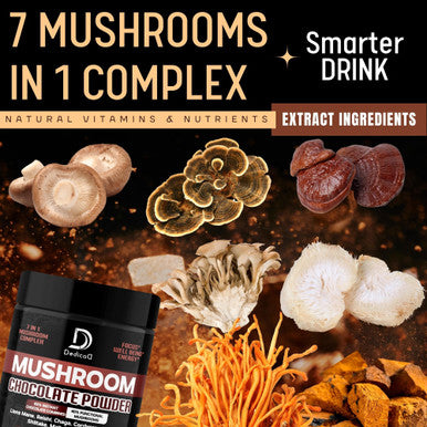 Dedicad Mushroom Chocolate Powder - Mushroom Hot Chocolate With Lion'S Mane, Reishi, Chaga, & More - Support For Immune System