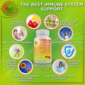 Powerful Immune Support Bundle Quercetin With Bromelain Liposomal Vitamin C Liquid Gel For Antioxidant Immune System Booster Whole Food Multivitamin Plus For Men Women
