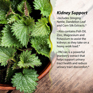 Irwin Naturals 2 In 1 Kidney & Liver Super Cleanse, 60 Liquid Soft-Gels