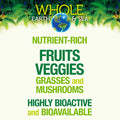 Whole Earth Sea from Natural Factors Organic Fermented Protein Greens Vegan Whole Food Supplement Vanilla Chai 1 lb 7 Oz