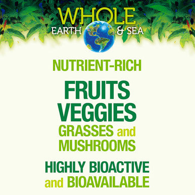 Whole Earth Sea from Natural Factors Organic Fermented Protein Greens Vegan Whole Food Supplement Vanilla Chai 1 lb 7 Oz