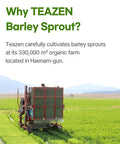 Teazen Organic Barley Sprout Juice Powder Korean Organic Superfood Greens Grass Great for Iced Tea and Smoothie 100g (3.5oz)