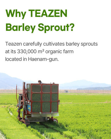 Teazen Organic Barley Sprout Juice Powder Korean Organic Superfood Greens Grass Great for Iced Tea and Smoothie 100g (3.5oz)