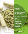 Andrew Lessman Glutathione 250 Mg - 120 Capsules - Powerful Antioxidant, Reduces Oxidative Stress. Bioavailable, Protects Cells, Tissues And Organs. Supports Immune Health. Easy-To-Swallow Capsules.