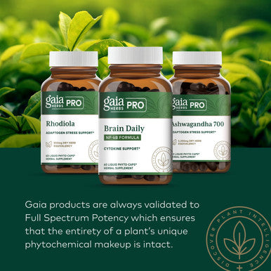 Gaia PRO Brain Daily NF-kB Formula - Brain Supplement for Memory - with Bacopa, Ginkgo, Gotu Kola, Rosemary, Schisandra, Organic Turmeric, Black - 60 Vegan Liquid Phyto-Capsules (60 Servings)