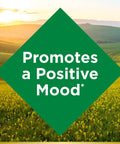 Nature's Bounty St. John S Wort 300Mg Capsules Herbal Health Supplement Promotes A Positive Mood 100 Capsules