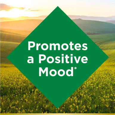 Nature's Bounty St. John S Wort 300Mg Capsules Herbal Health Supplement Promotes A Positive Mood 100 Capsules