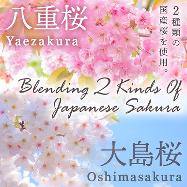 Yamasan Kyoto Uji Sakura Latte -Creamy and Aromatic Foam- Using Japanese Cherry Blossom 100% 3.5oz Made in JapanSold by Japanese company YAMASAN