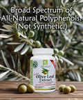 Island Nutrition , Olive Leaf Extract Capsules 25% Oleuropein (40% Total Polyphenols), Plus 20% Hydroxytyrosol Complex 100% Grown & Extracted In Spain (90 Caps), Real European Olive Leaf Extract
