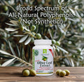 Island Nutrition , Olive Leaf Extract Capsules 25% Oleuropein (40% Total Polyphenols), Plus 20% Hydroxytyrosol Complex 100% Grown & Extracted In Spain (90 Caps), Real European Olive Leaf Extract