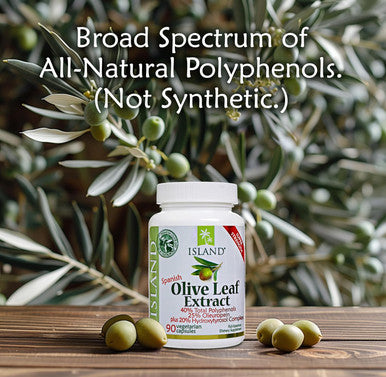 Island Nutrition , Olive Leaf Extract Capsules 25% Oleuropein (40% Total Polyphenols), Plus 20% Hydroxytyrosol Complex 100% Grown & Extracted In Spain (90 Caps), Real European Olive Leaf Extract