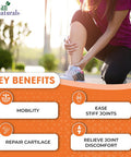Aitnaturals Joint Health - 120 Tablets| Advanced Formula with Glucosamine Chondroitin & MSM | Enhances Bone Health Mobility Maintain Joint Flexibility| Relief for Joint Discomfort Repair Cartilage