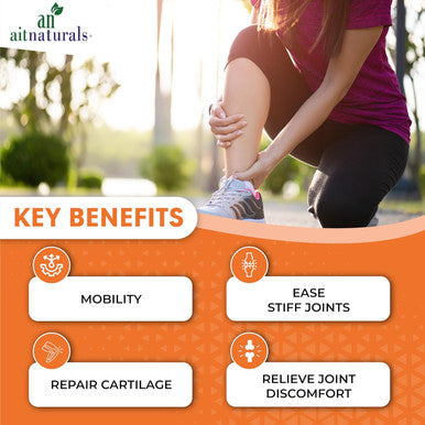 Aitnaturals Joint Health - 120 Tablets| Advanced Formula with Glucosamine Chondroitin & MSM | Enhances Bone Health Mobility Maintain Joint Flexibility| Relief for Joint Discomfort Repair Cartilage