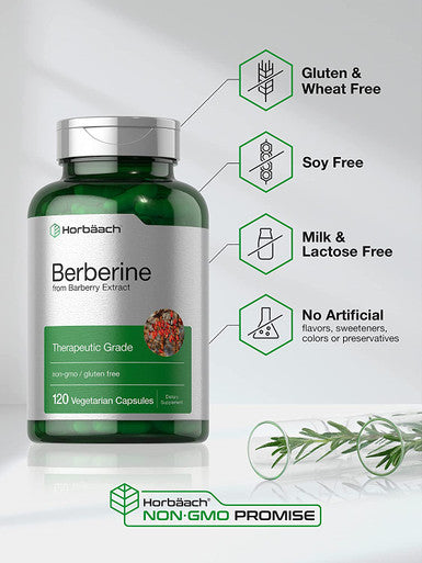 Berberine Supplement 120 Capsules Berberine HCl from Barberry Extract Non-GMO Gluten Free