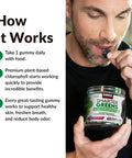 Force Factor Smarter Greens Chlorophyll Gummies to Support Skin Care, Clear Skin, and Healthy Skin, Fight Bad Breath, and Reduce Body Odor, Deodorant for Women and Men, Fresh Berry Flavor, 60 Gummies
