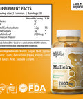 Wild & Organic Mullein Gummies Daily Dietary Supplement for Respiratory Digestive Support and Immune Booster Vegan Non GMO Verbascum Thapsus Herbal Extract 2000mg 60 Chews