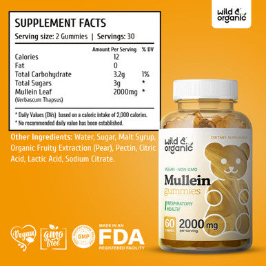 Wild & Organic Mullein Gummies Daily Dietary Supplement for Respiratory Digestive Support and Immune Booster Vegan Non GMO Verbascum Thapsus Herbal Extract 2000mg 60 Chews