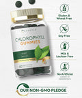 Carlyle Chlorophyll Gummies | 60 Count | Mixed Fruit Flavor | Complex Vegan Supplement | Non-GMO & Gluten