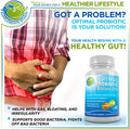 Quercetin 500mg with Bromelain Zinc and Vitamin C Supplement Bundle up with Vegan Probiotic Prebiotic Supplement and Optimal DIM Plus Supplement 200mg for Estrogen and Hormonal Balance