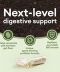 Ultra Probiotic - 60B Sbo Probiotic - 6 Strains - Soil Based - Advanced Probiotic Users - Probiotics For Women & Men - Digestive