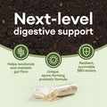 Ultra Probiotic - 60B Sbo Probiotic - 6 Strains - Soil Based - Advanced Probiotic Users - Probiotics For Women & Men - Digestive