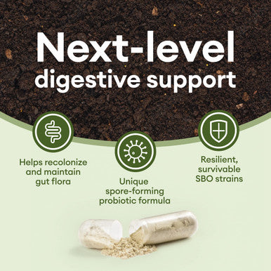 Ultra Probiotic - 60B Sbo Probiotic - 6 Strains - Soil Based - Advanced Probiotic Users - Probiotics For Women & Men - Digestive