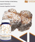 Lions Mane Mushroom Capsules | 500mg | 60 Count | Hericium erinaceus | Organic ing Body Mushroom Extract | Brain Health Supplement | Neuroprotective + Boosts Mood