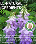 HERBALICIOUS Goat S Rue Capsules 1000Mg - Natural Goats Rue Herbal Supplement - Natural Galega Officinalis For Breast Feeding - Breastmilk Production Food Supplement Support - 100 Caps