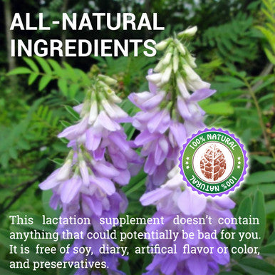 HERBALICIOUS Goat S Rue Capsules 1000Mg - Natural Goats Rue Herbal Supplement - Natural Galega Officinalis For Breast Feeding - Breastmilk Production Food Supplement Support - 100 Caps