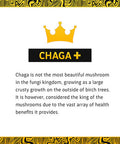 Life Cykel Chaga Mushroom Extract with Australian Wild Harvested Kakadu Plum, 2 oz