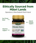Flora - MÃƒâ€žÃ‚Ânuka Honey MGO 400+/12+ UMF, New Zealand Honey, 100% Traceable MGO,Natural Healing, Sore Throat Relief, Aids Digestion, 17.6-oz. Jar