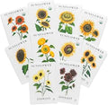Sereniseed Sunflower Seeds Collection (10-Pack) ÃƒÆ’Ã†â€™Ãƒâ€šÃ‚Â¢ÃƒÆ’Ã‚Â¢ÃƒÂ¢Ã¢â€šÂ¬Ã…Â¡Ãƒâ€šÃ‚Â¬ÃƒÆ’Ã‚Â¢ÃƒÂ¢Ã¢â‚¬Å¡Ã‚Â¬Ãƒâ€¦Ã¢â‚¬Å“ 100% Non GMO, Open Pollinated ÃƒÆ’Ã†â€™Ãƒâ€šÃ‚Â¢ÃƒÆ’Ã‚Â¢ÃƒÂ¢Ã¢â€šÂ¬Ã…Â¡Ãƒâ€šÃ‚Â¬ÃƒÆ’Ã‚Â¢ÃƒÂ¢Ã¢â‚¬Å¡Ã‚Â¬Ãƒâ€¦Ã¢â‚¬Å“ Grow Guide