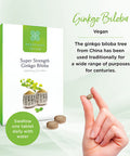 Healthspan Ginkgo Biloba 10,000mg (120 Tablets) | Added Iodine & Vitamin B5 | Reduce Tiredness & Fatigue | Support Cognitive Function & Mental Performance | Rich Source of Flavone Glycosides | Vegan